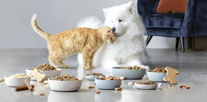 Pet Products eCommerce Trends