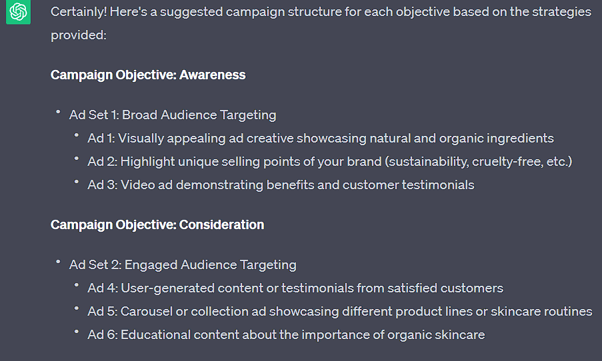 Campaign Objectives ChatGPT use case1